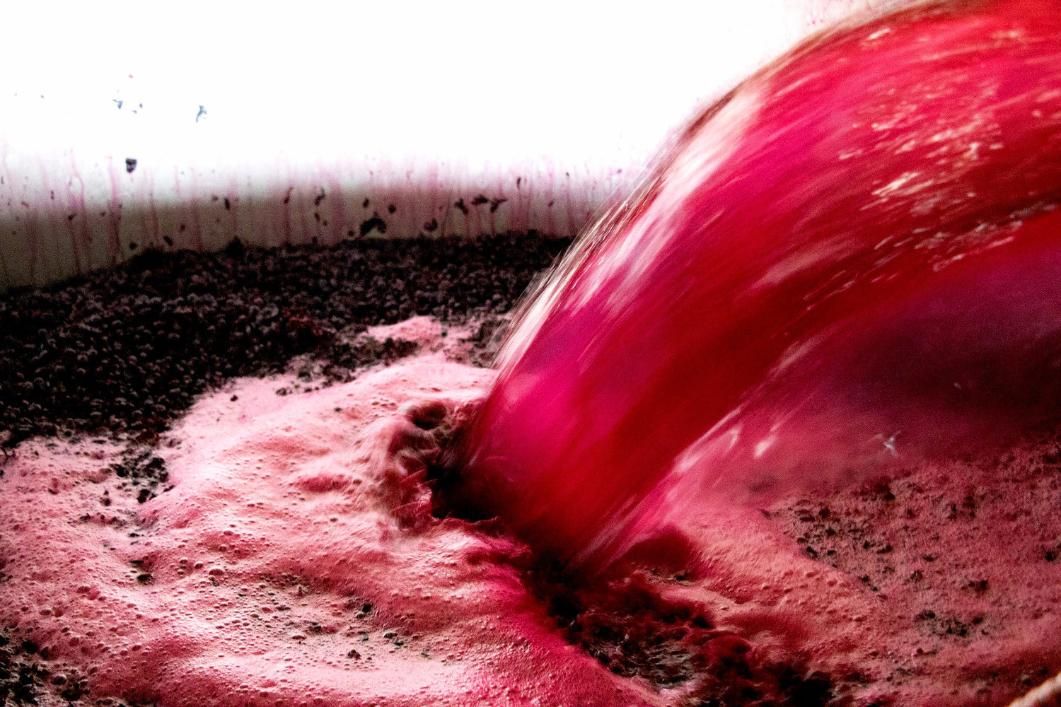 Red Wines