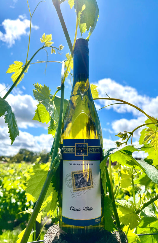 Wine bottle with a label in a vineyard setting